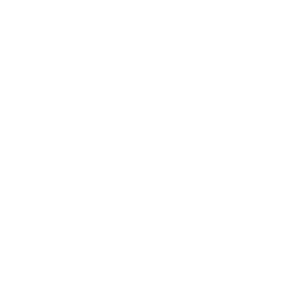 white_bishop