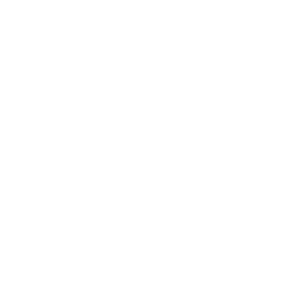 white_king