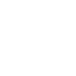 white_knight