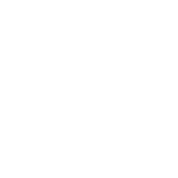 white_pawn