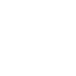 white_rook